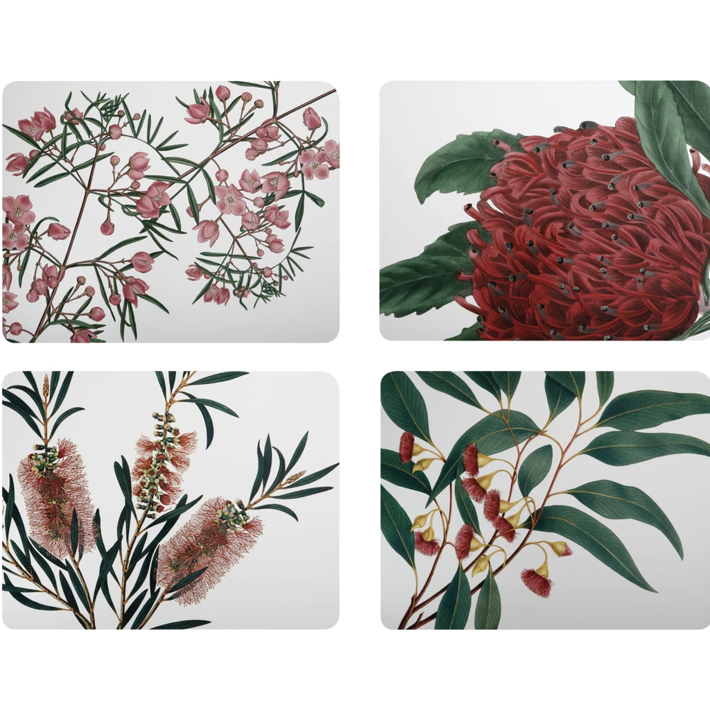 Maxwell and Williams Royal Botanic Gardens Cork Back Placemat 34x26.5cm Set of 4 Assorted Gift Boxed